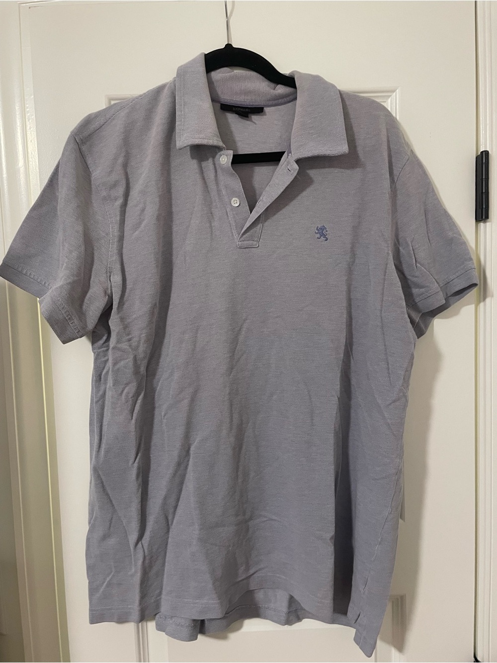 Express Light Purple Men’s Polo Shirt